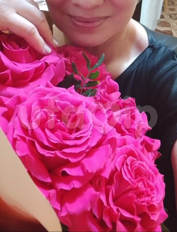 Проститутка Айгуль фото